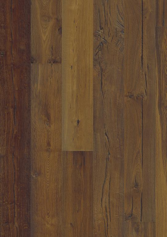 Roble Castillo - Imagen 2