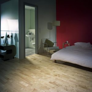 Arce Europeo Salzburgo