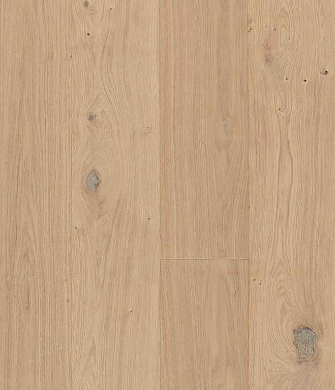 Roble Brighton - Imagen 4