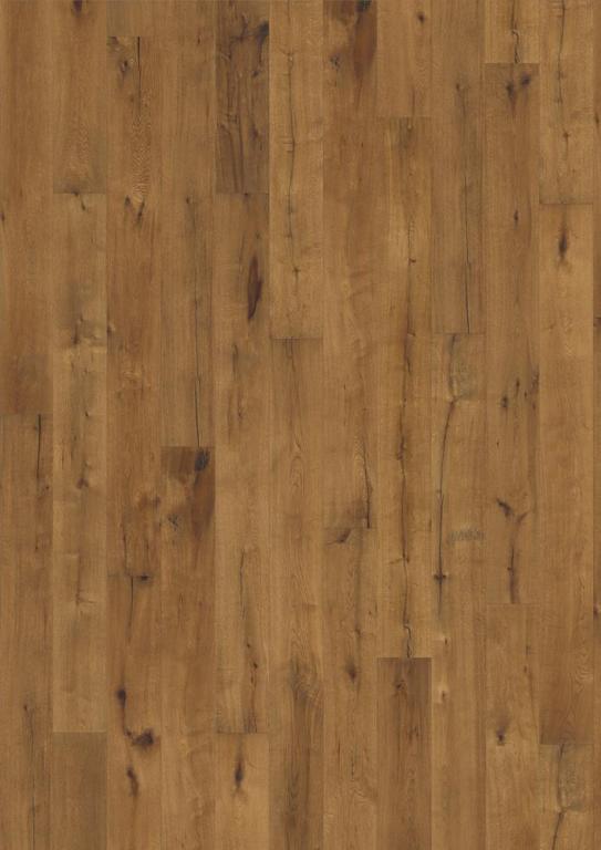Roble Tan