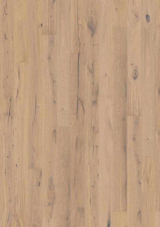 Roble Gustaf - Imagen 4